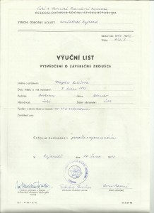 3. VÝÚČNÍ LIST